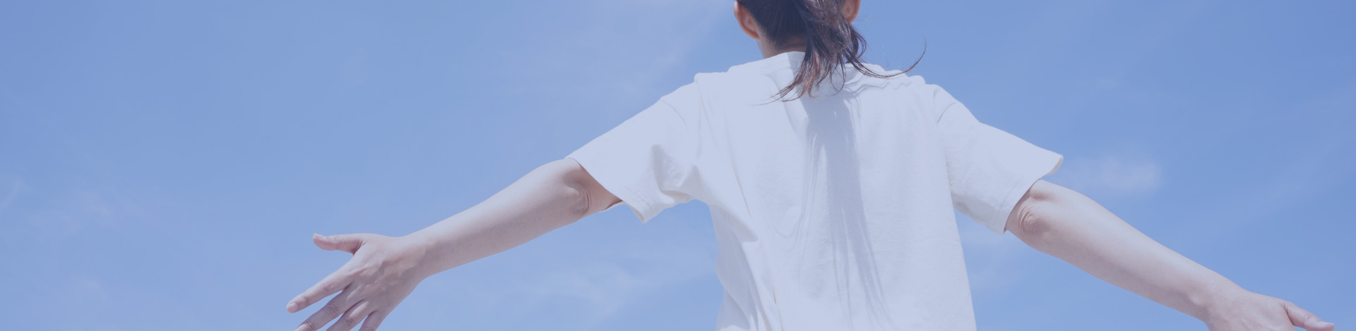 事業案内
